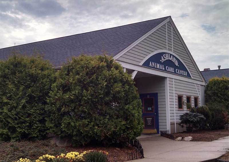 Carousel Slide 2: Ashland Animal Hospital, Ashland