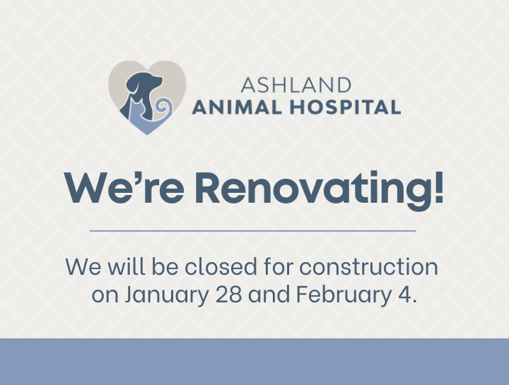 We're Renovating!
